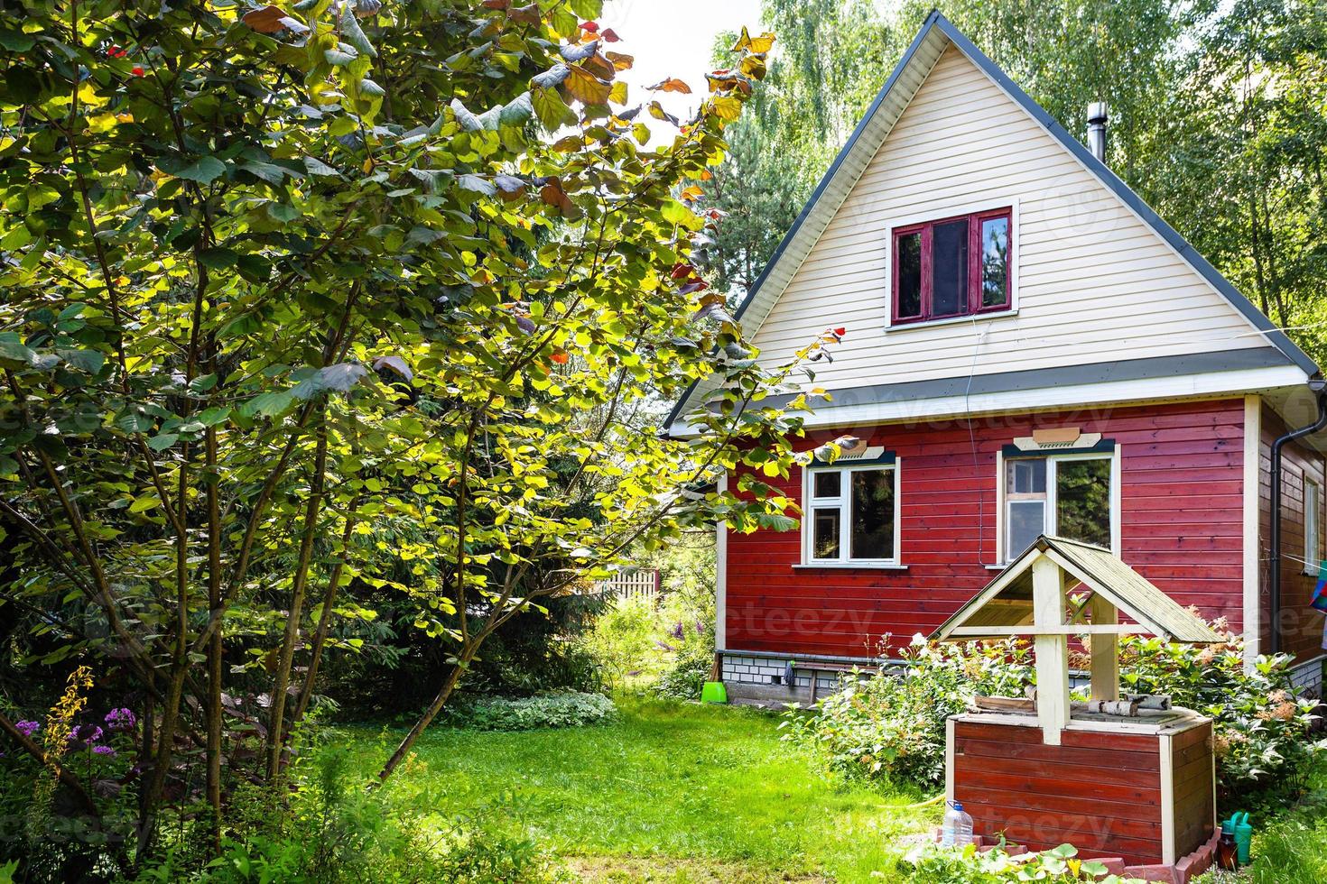 pequeña casa de campo de madera y pozo en el patio trasero foto