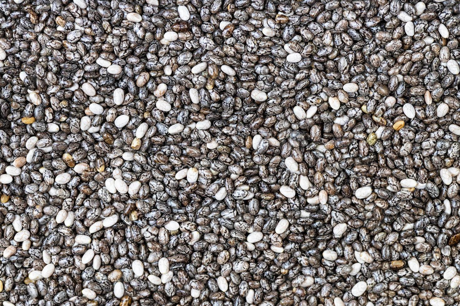 top view of raw chia seeds photo