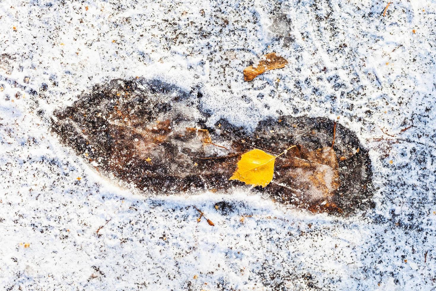 huella congelada en el camino cubierto de nieve foto