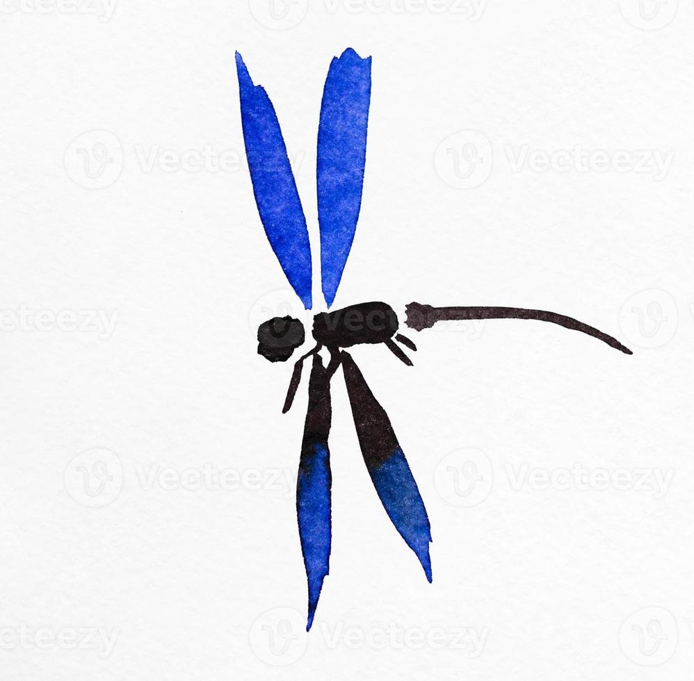 dragonfly with blue wings drawn in sumi-e style photo