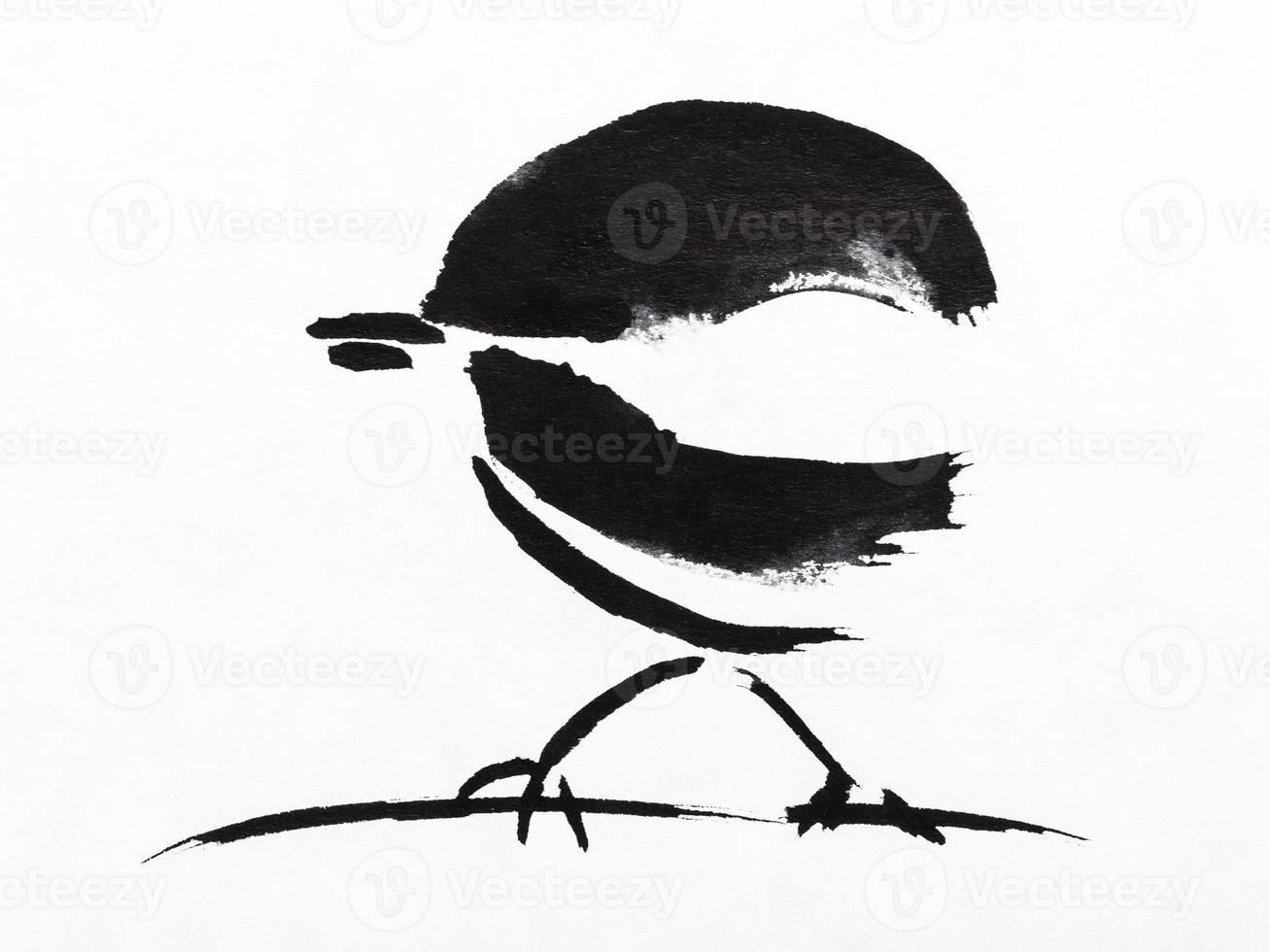 sparrow on twig drawn by black indian ink photo