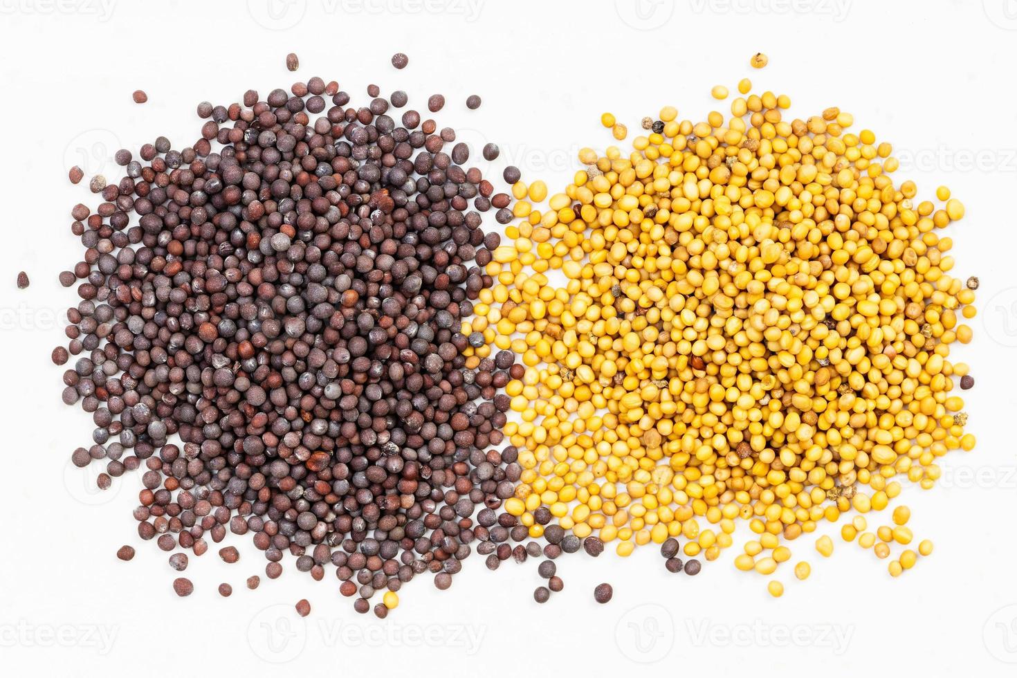 piles of yellow and brown mustard seeds on gray photo