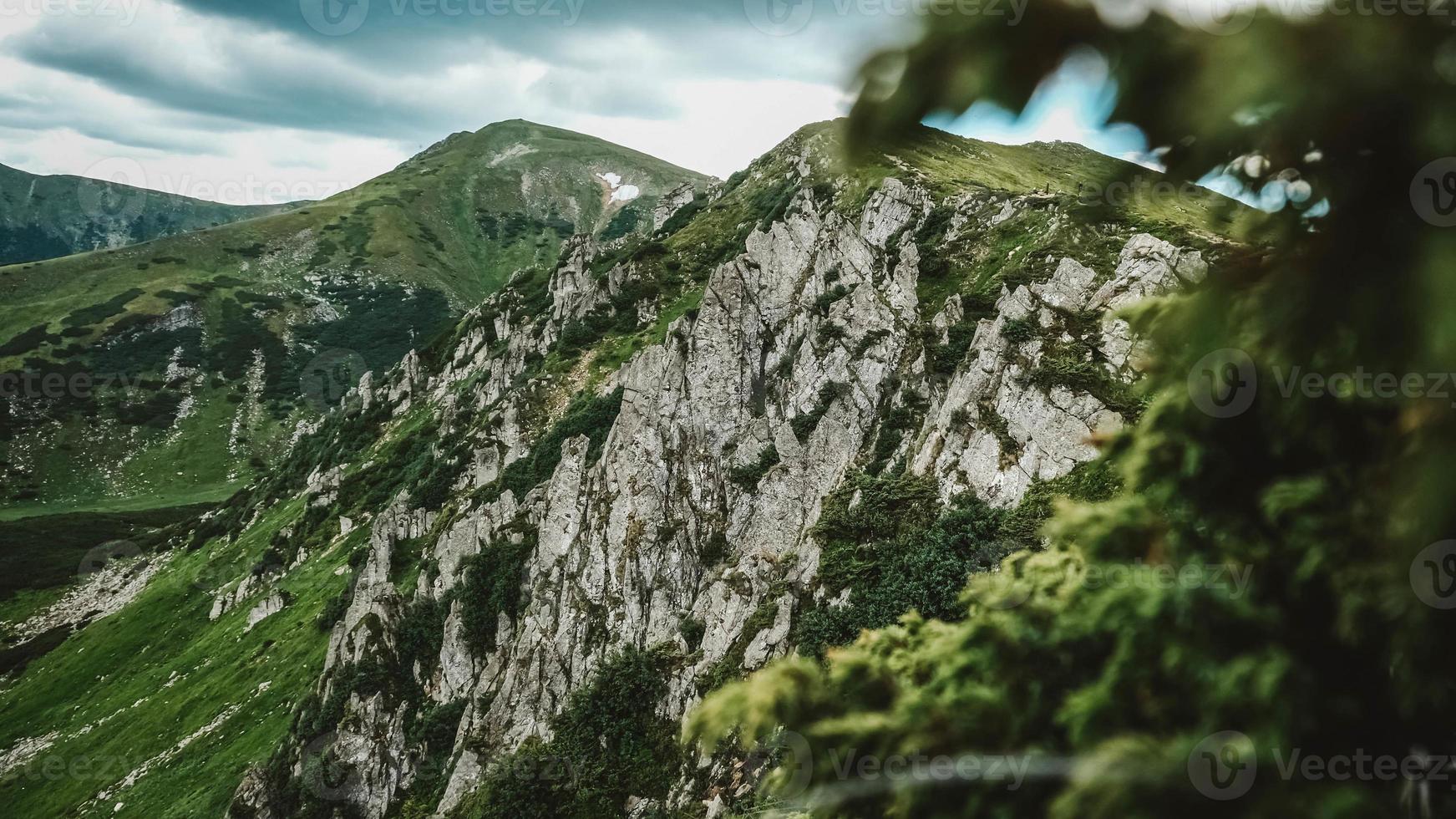 hermoso paisaje montañoso de los cárpatos, montañas verdes y acantilados shpytsi foto