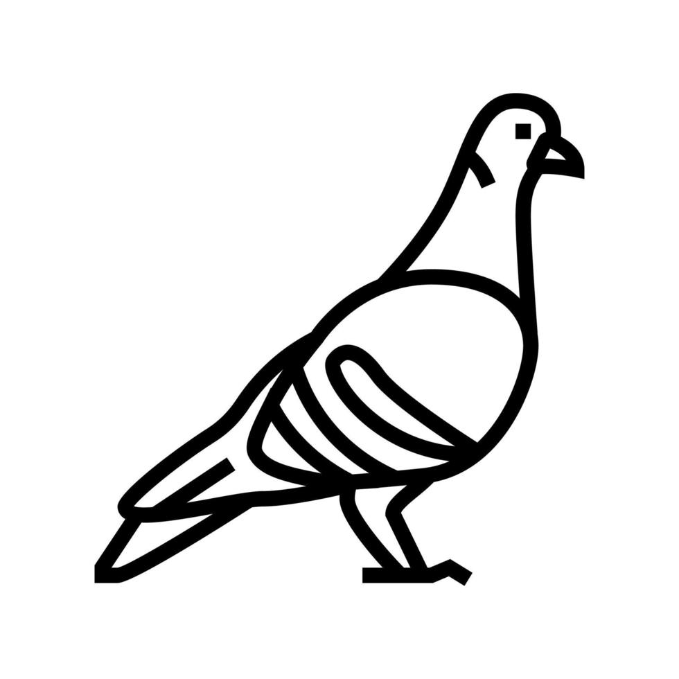 pigeon bird line icon vector illustration