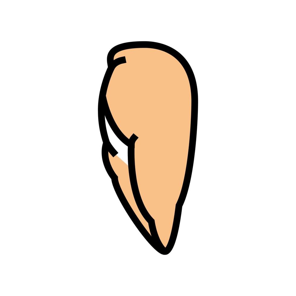 breast boneless skinless chicken color icon vector illustration