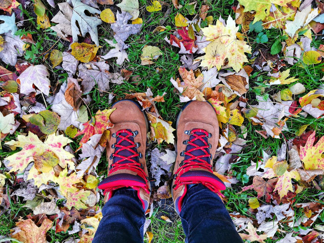 Legs in sport boots on the autumn colorful leaves and green grass photo