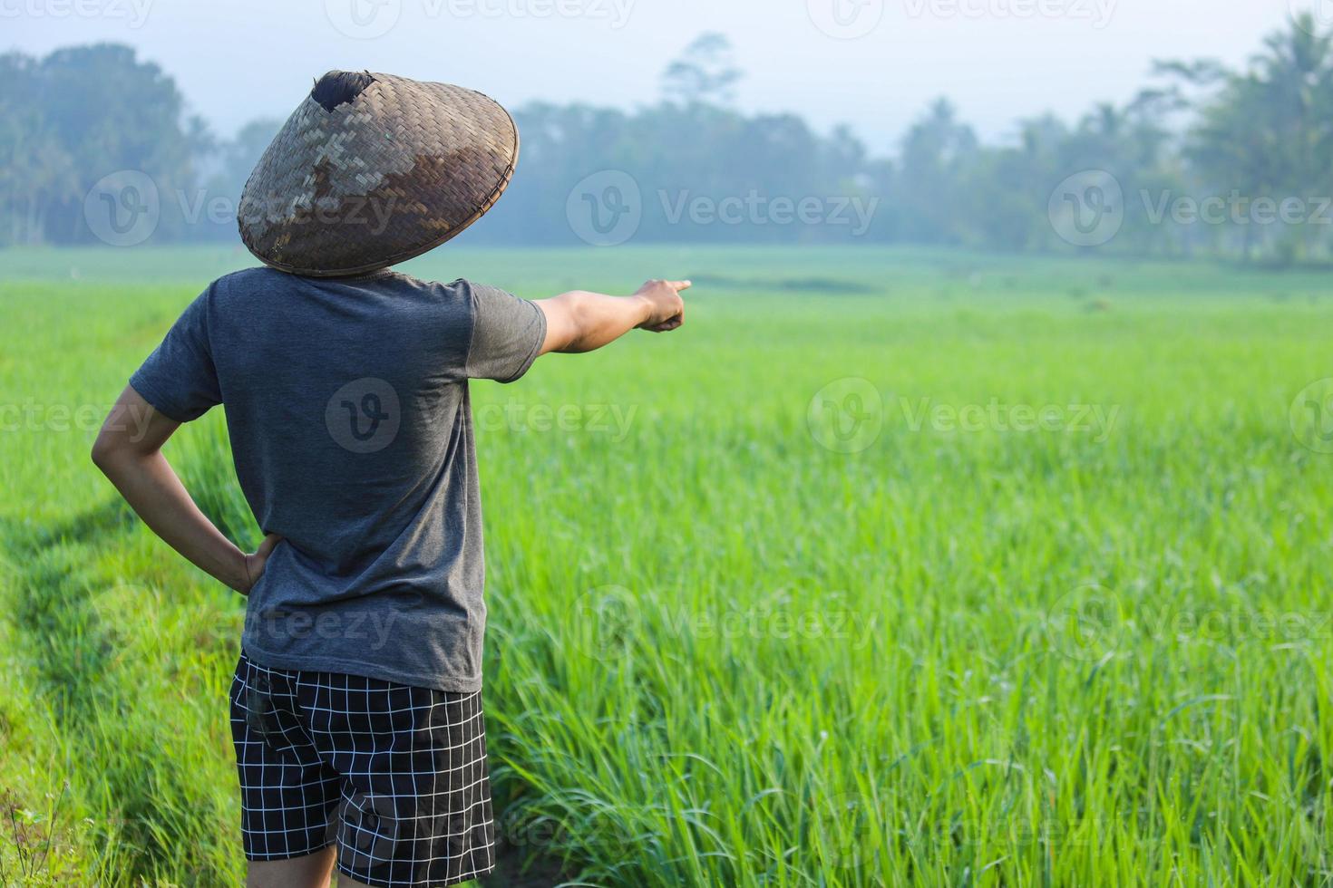 Close-up back side of young Asian farmer standing and pointing finger out to the rice field during inspection. Modern agriculture concept. photo
