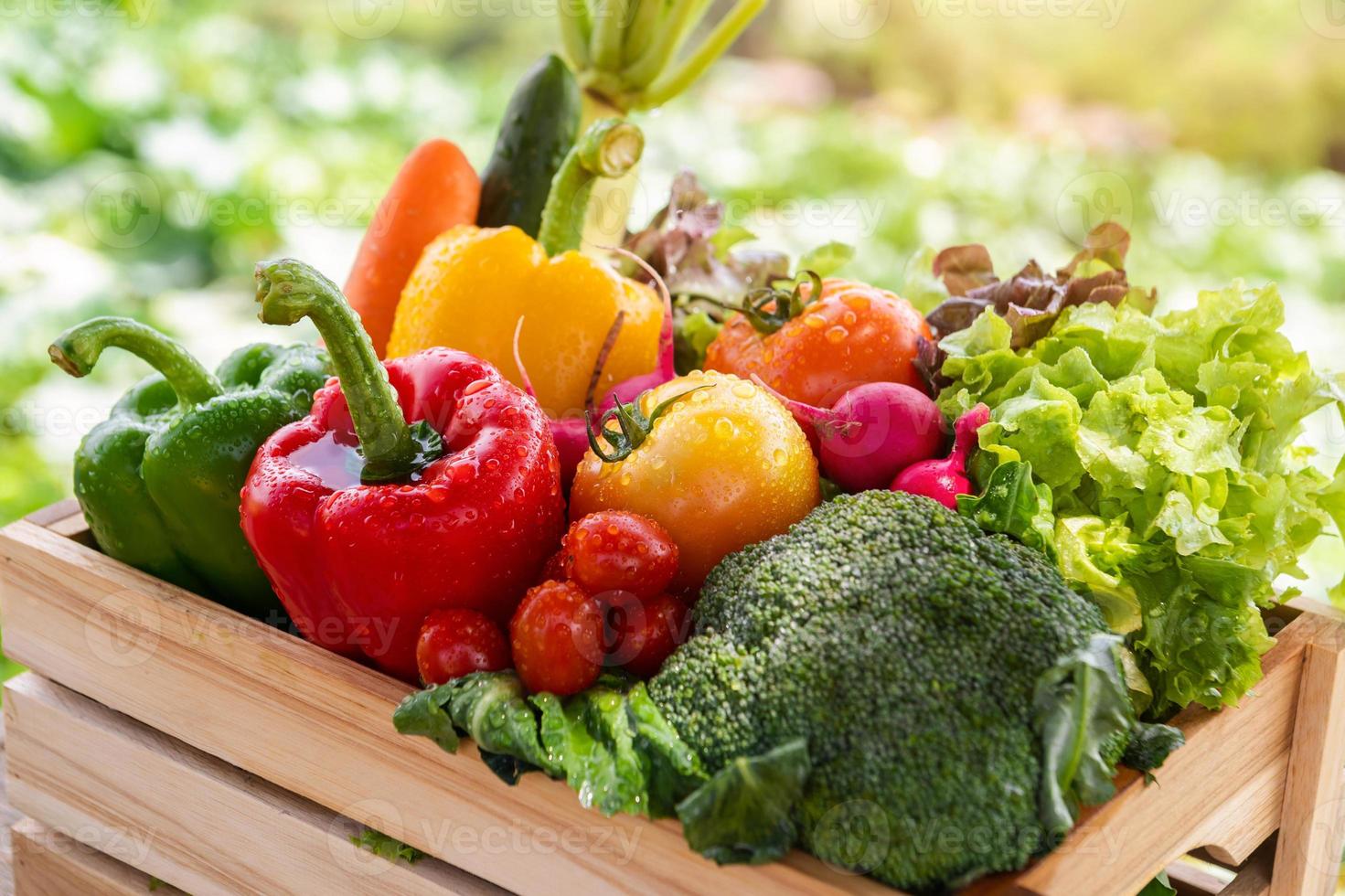 Wooden crate filled with fresh organic vegetables in morning light photo