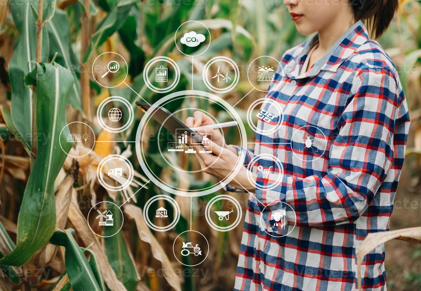 Agriculture technology farmer woman holding tablet or tablet technology to research about agriculture problems analysis data and visual icon.Smart farming photo