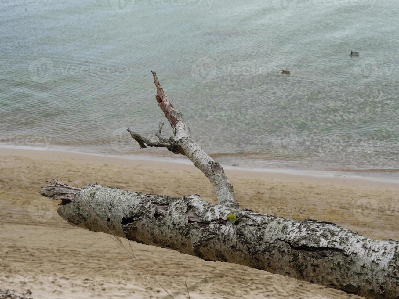 at the baltic sea in  Poland photo