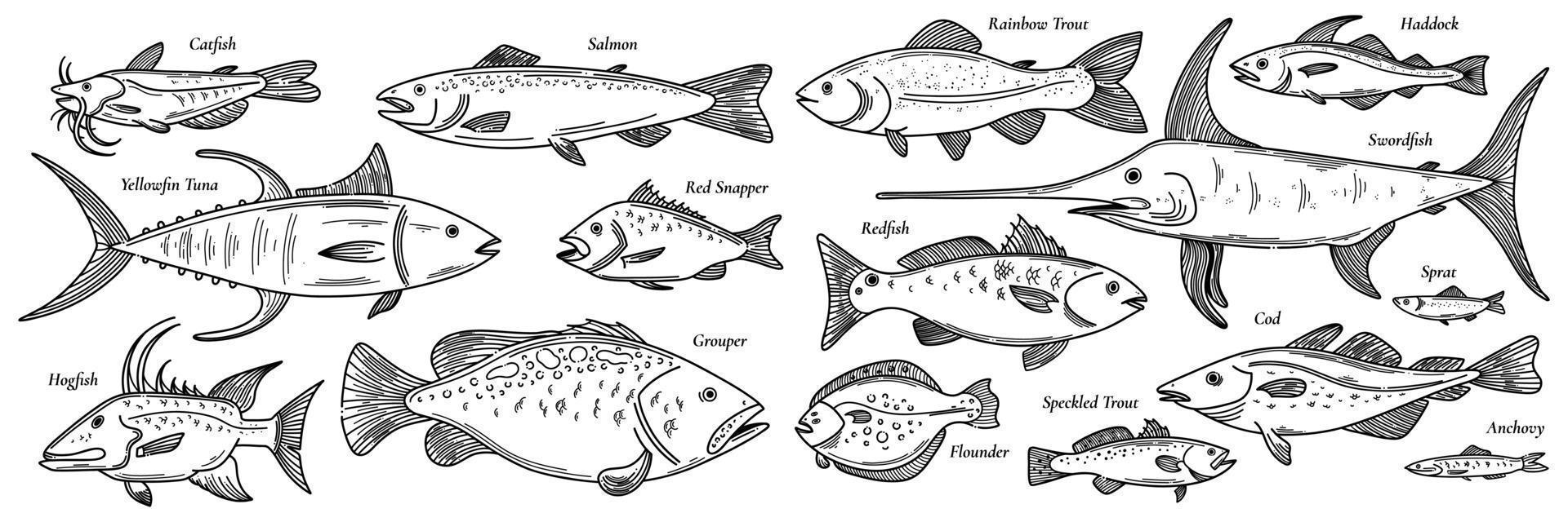 peces de garabato, bandada de peces dibujada a mano ilustración vectorial aislada en blanco. colección de iconos esbozados de animales marinos vector