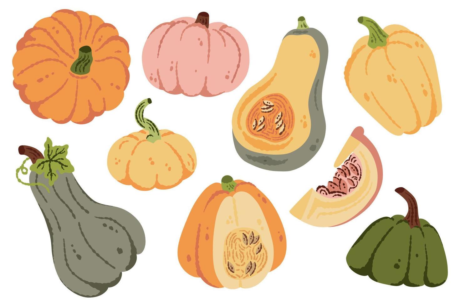 calabazas dibujadas a mano, calabaza de halloween, ilustración de vector de cosecha de otoño. conjunto de símbolos de calabazas y calabazas. colección otoño de acción de gracias y calabazas de halloween