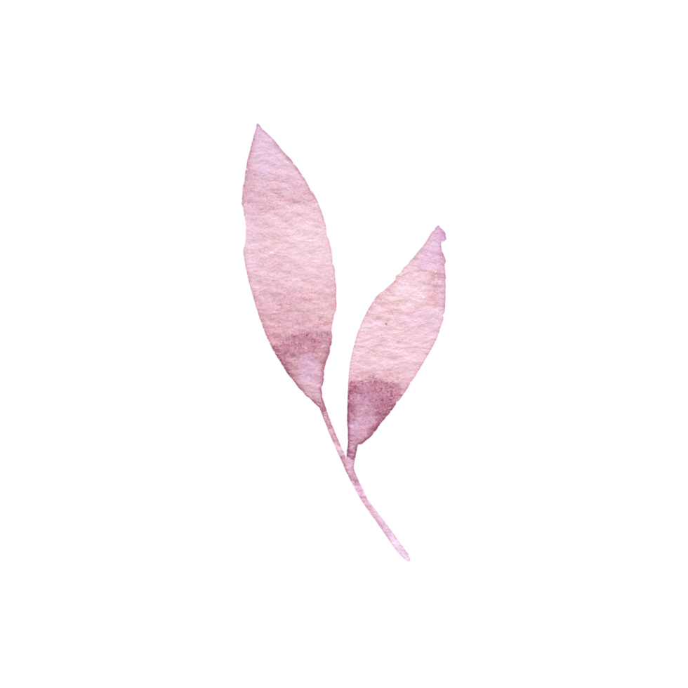 Autumn watercolor element png