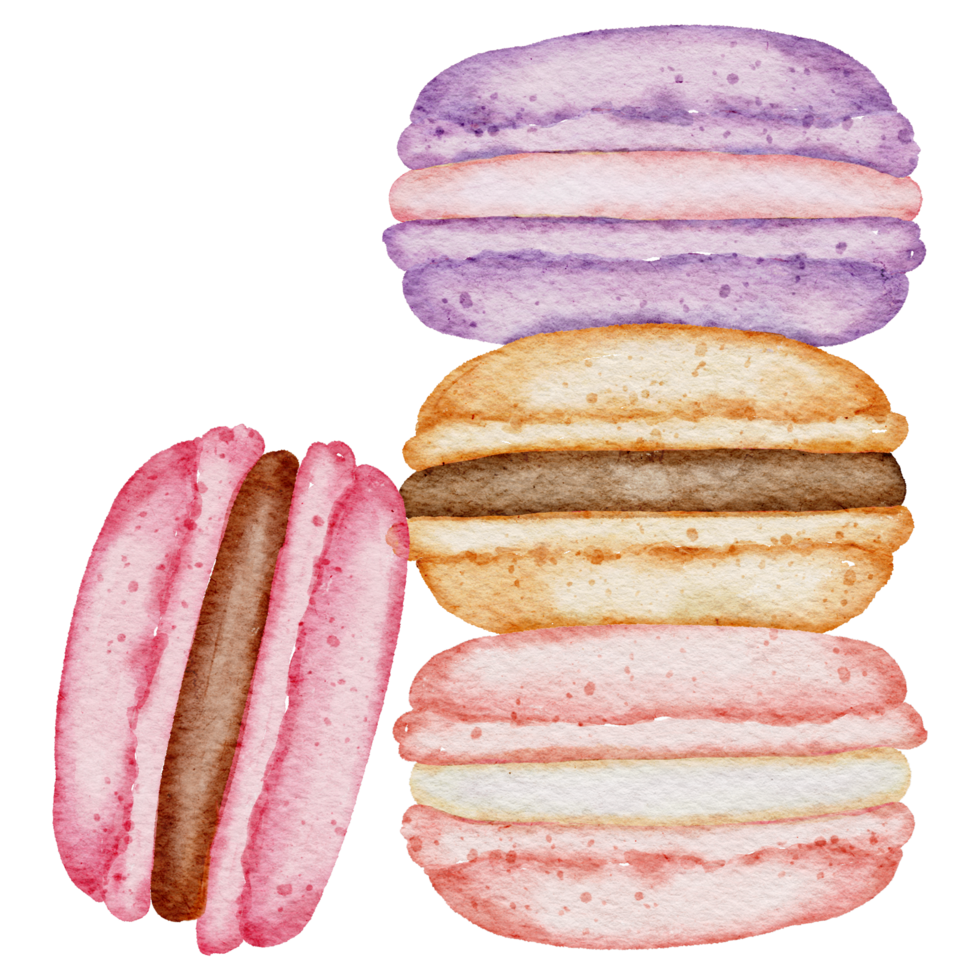 acquerello di dessert macaron png