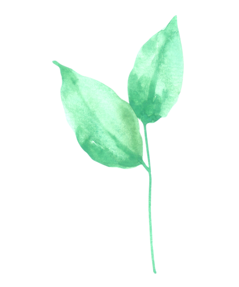 Green Leaf Element watercolor png