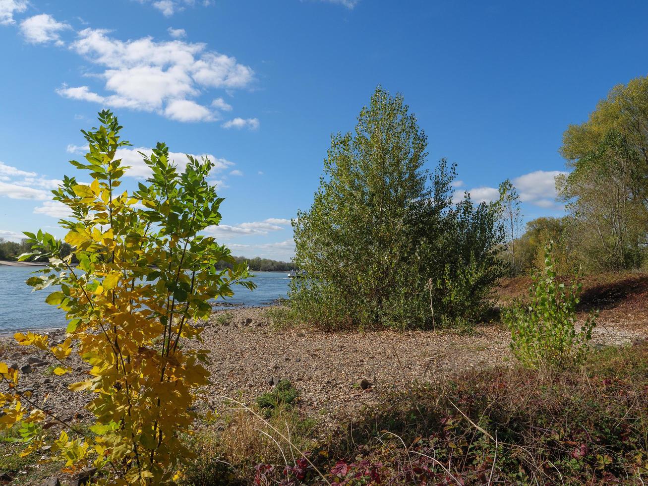 the river rhine near wesel photo