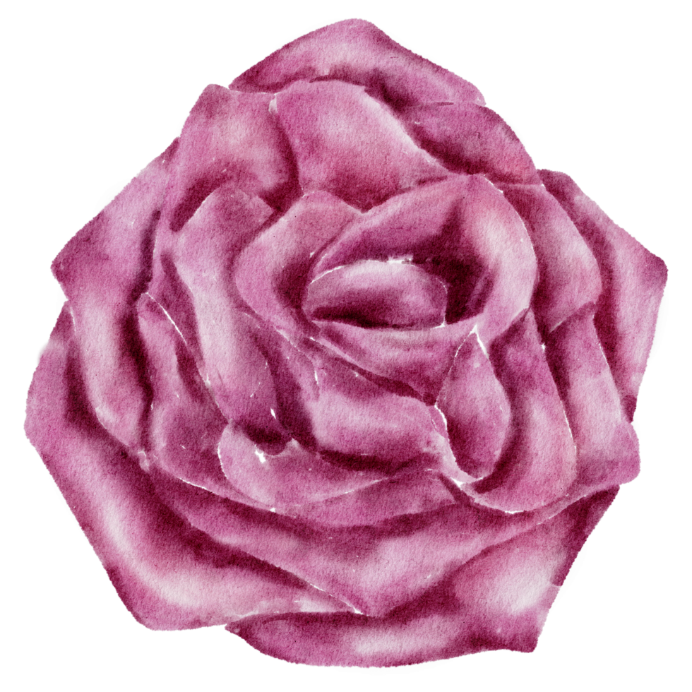 bloem element aquarel bruiloft bloem png