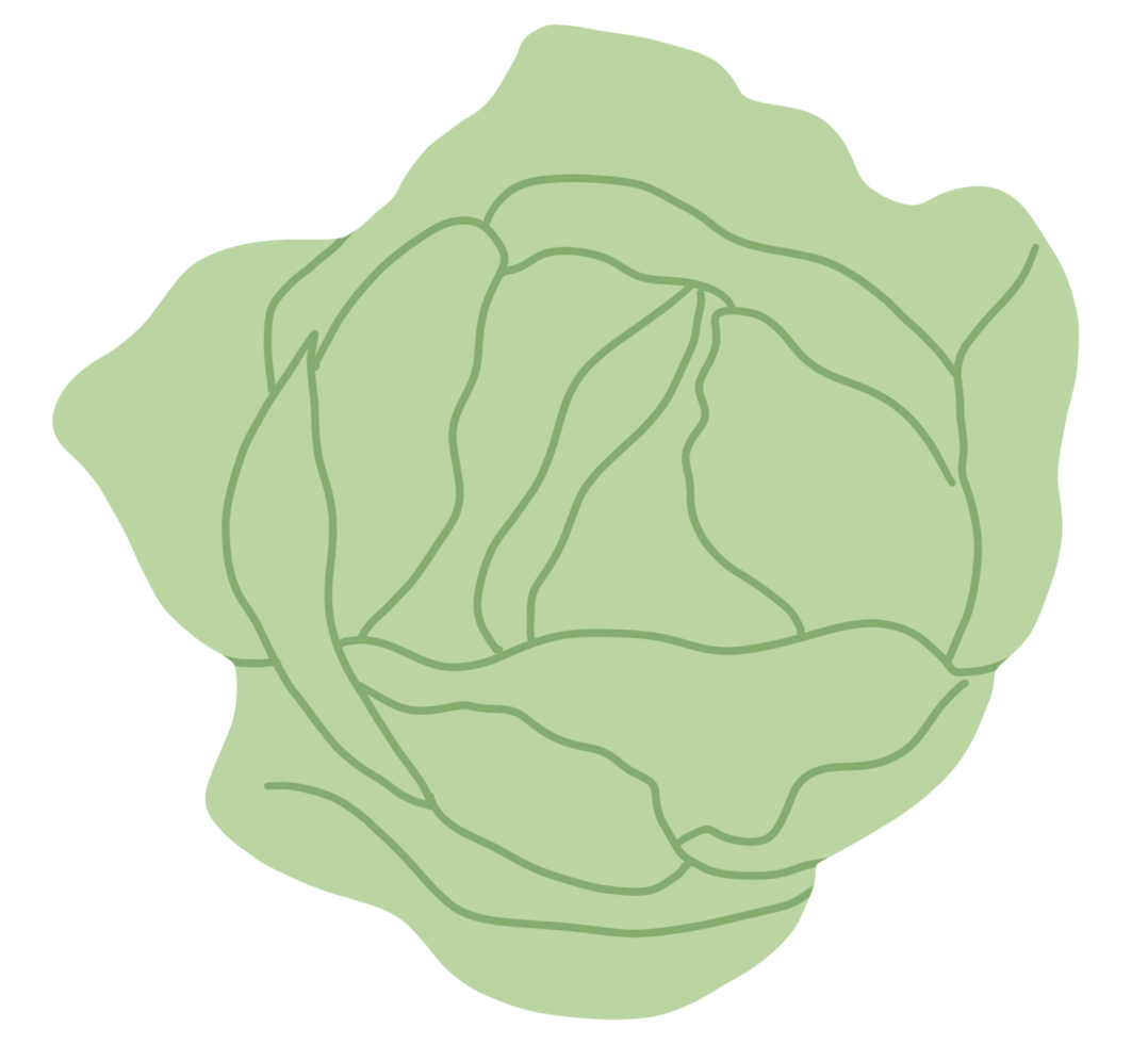 Cartoon vegetables and fruits png