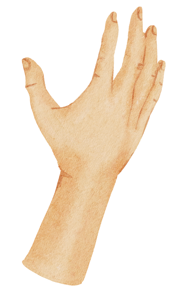Watercolor hands gesture png