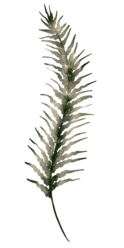 aquarelle élément feuille verte png