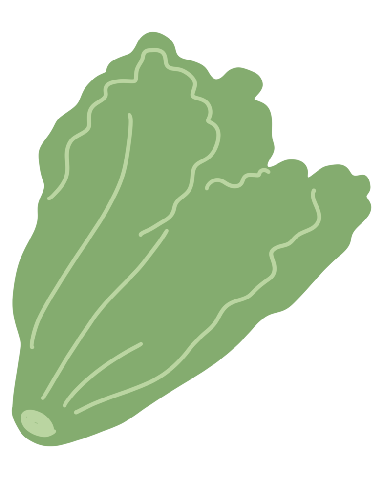 légumes et fruits de dessin animé png