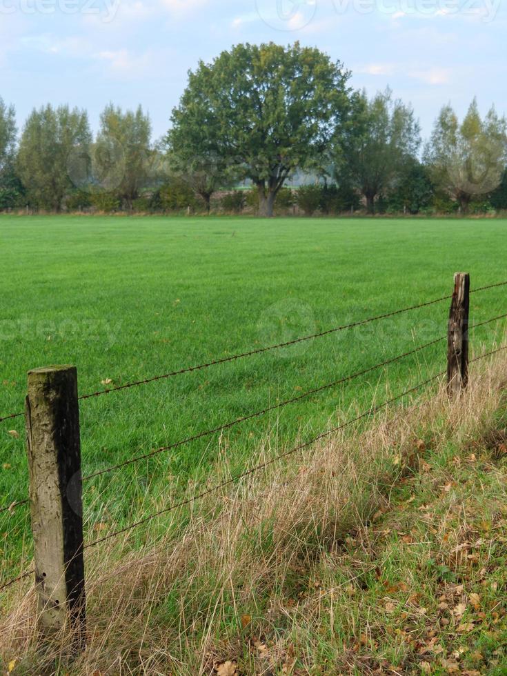 autumn time in westphalia photo