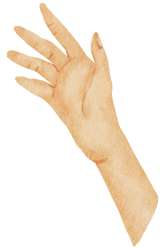 Watercolor hands gesture png