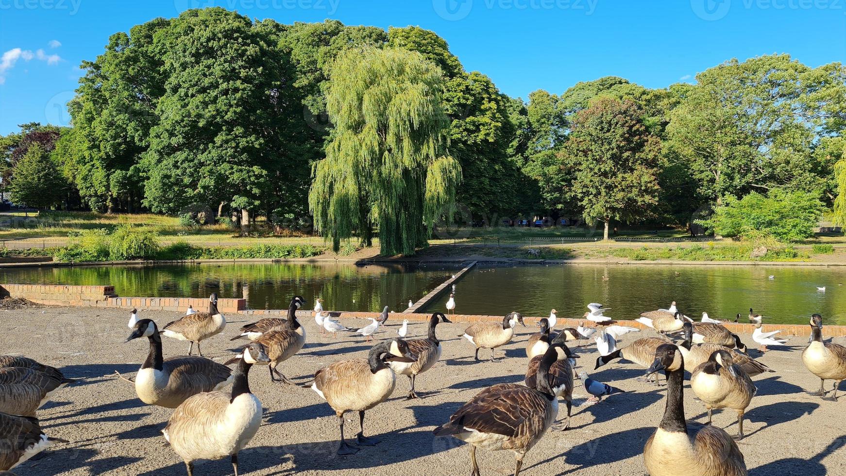 Beautiful Local Public Park at Luton Town of England UK photo