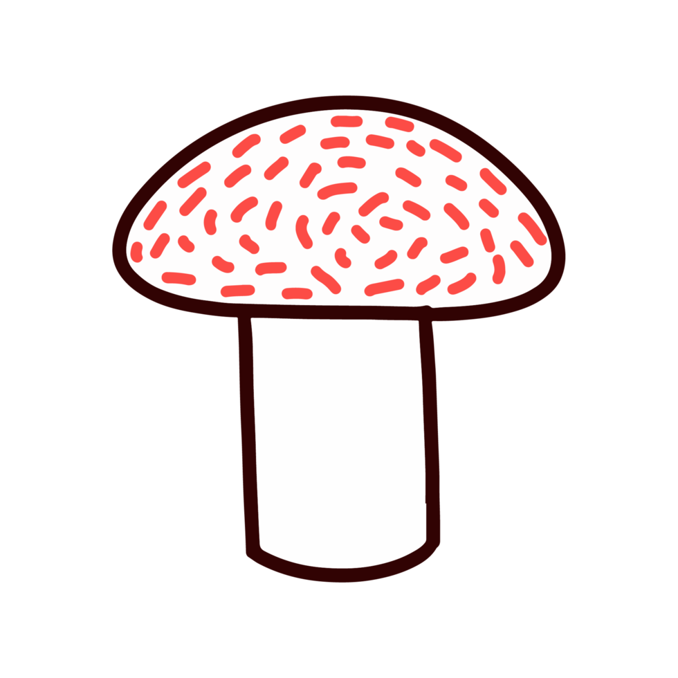 Forest Mushroom illustration png