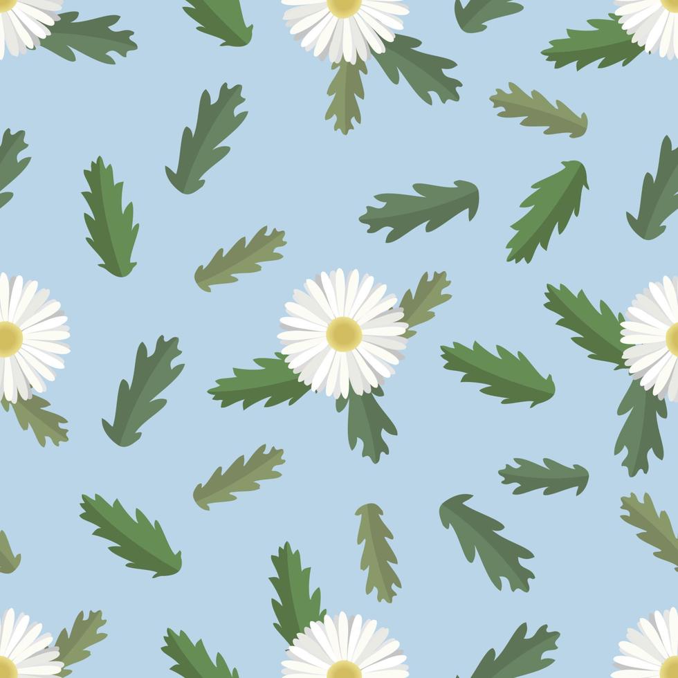 Seamless pattern of daisies and leaves. Chamomile blooming in the grass. Vector Illustration