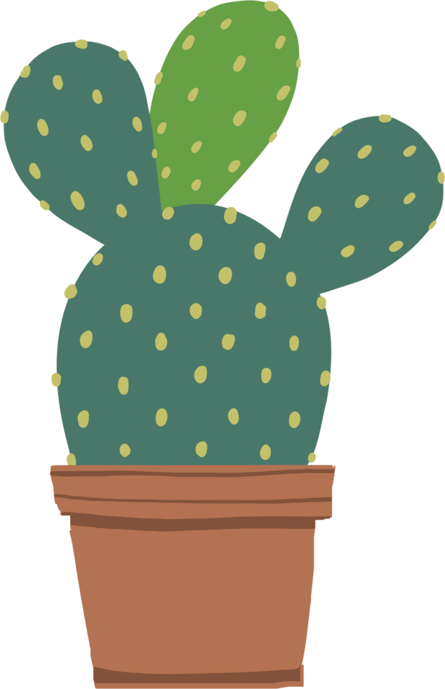 Simplicity cactus plant freehand drawing flat design. png