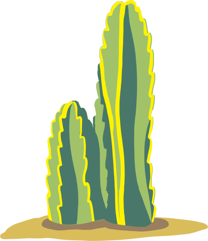 Simplicity cactus plant freehand drawing flat design. png