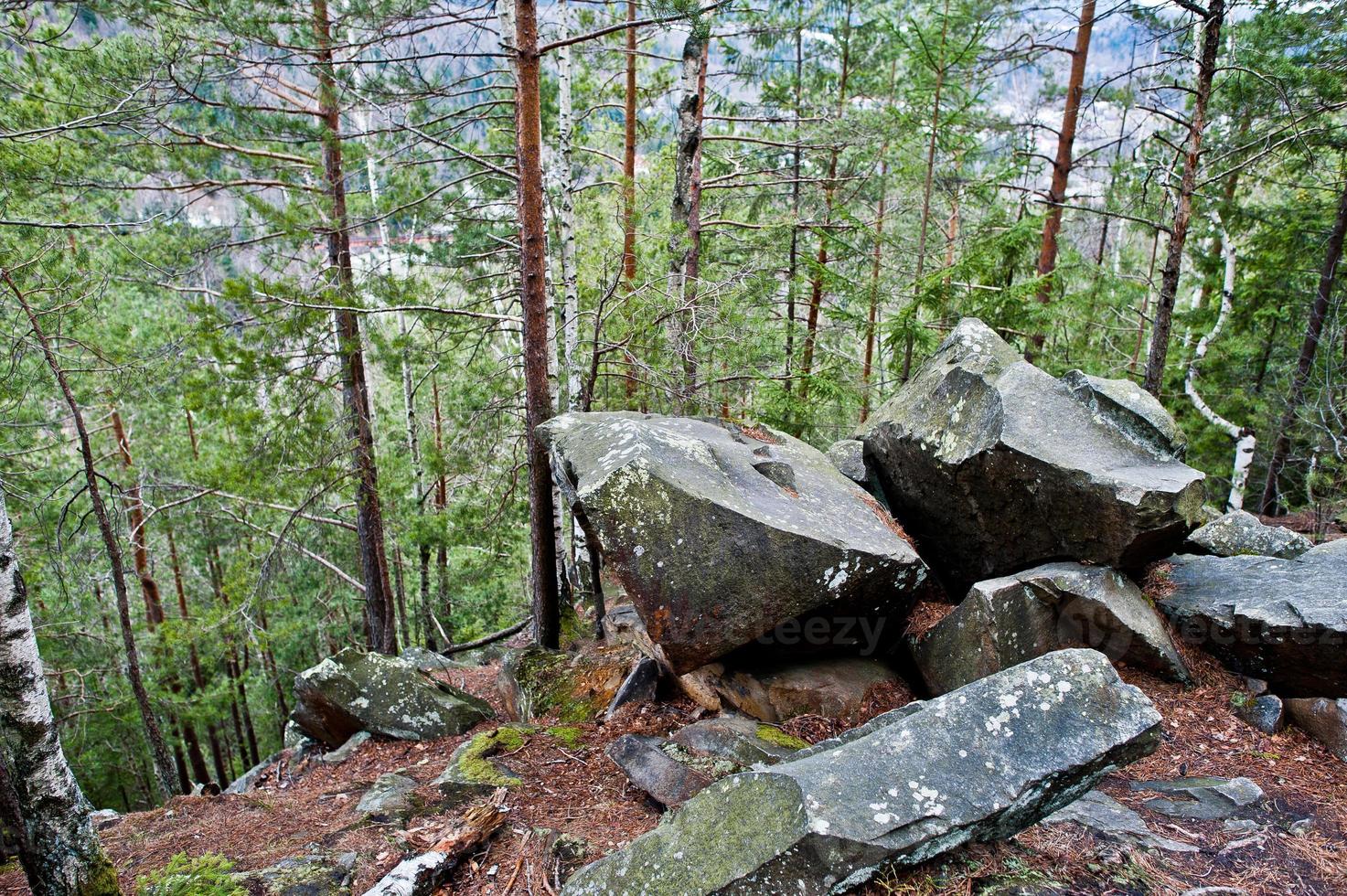 Large stones of rocks at wet forest in Carpathian mountains. photo