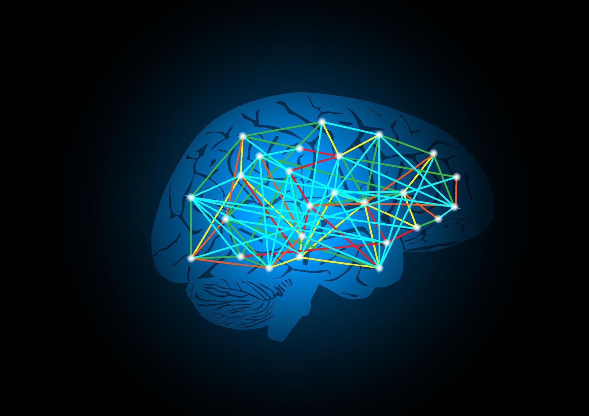 Vector illustration of human brain connection 10252657 Vector Art at ...