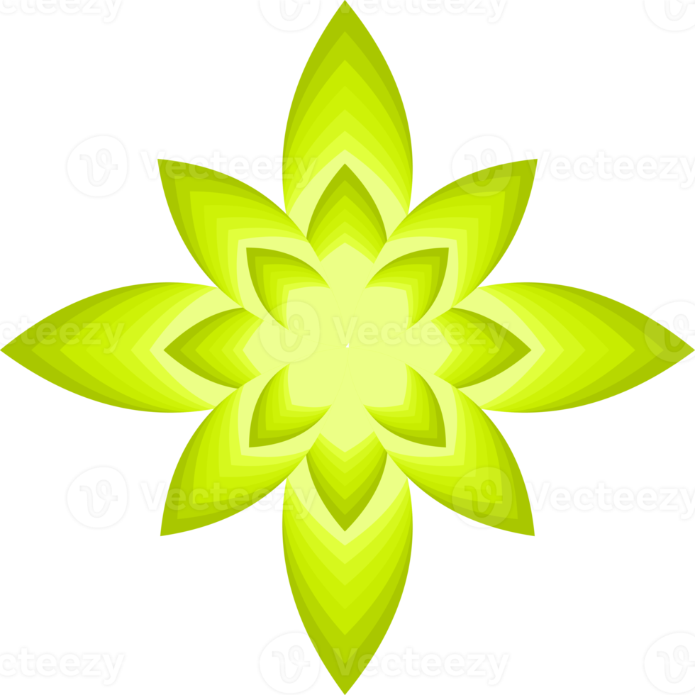 Flower blossom petal botanical leaf plant ornament decorative abstract background art graphic design pattern illustration png