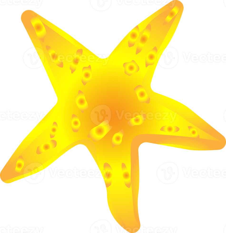 Starfish undersea ocean sea for decorative png