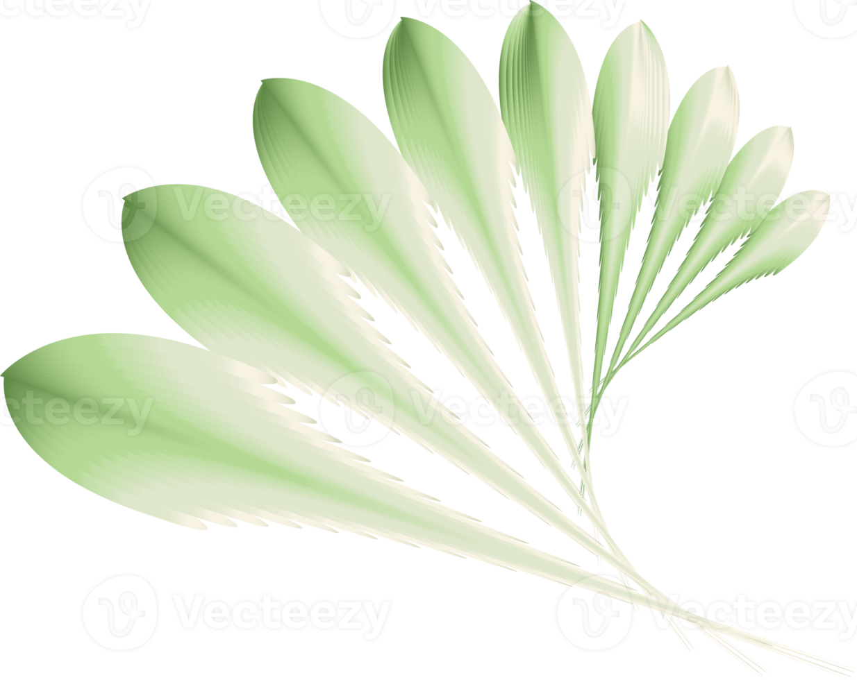 fleur feuille botanique plante antique ornement décoratif abstrait arrière-plan art conception graphique modèle illustration png