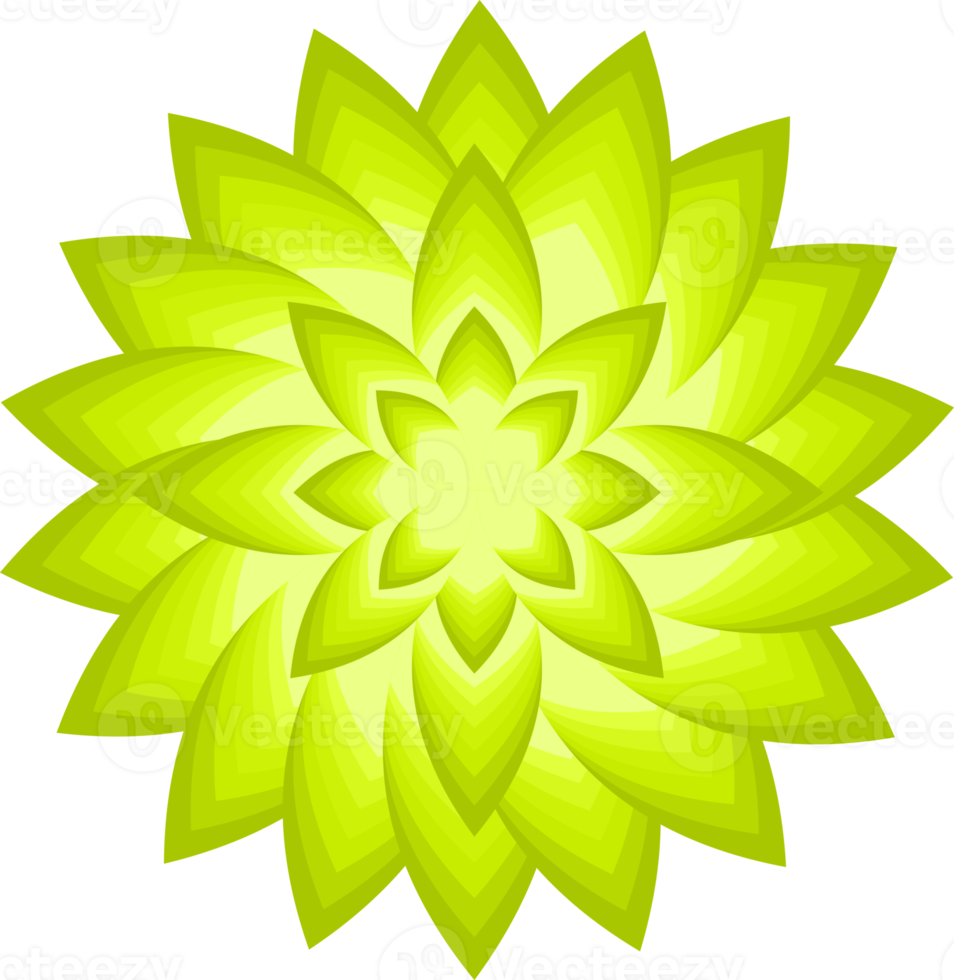 fiore fiore petalo botanico foglia pianta ornamento decorativo astratto sfondo arte disegno grafico modello illustrazione png