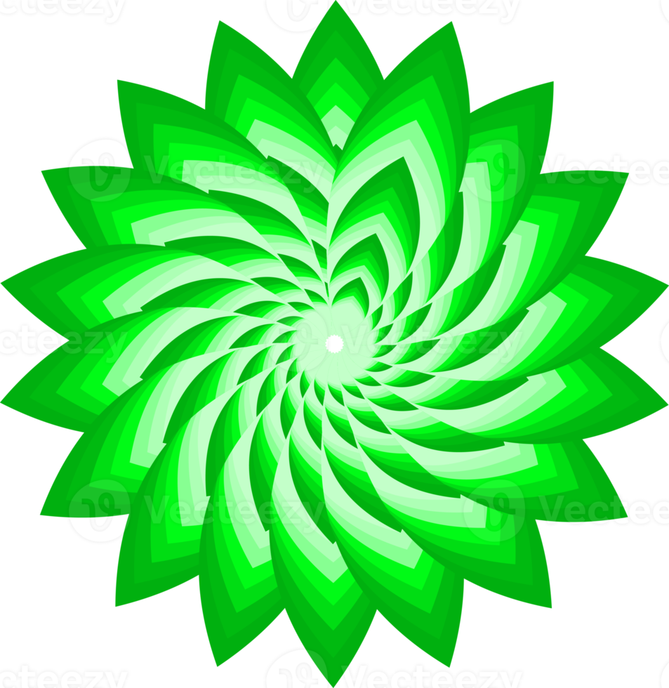 fiore fiore petalo botanico foglia pianta ornamento decorativo astratto sfondo arte disegno grafico modello illustrazione png