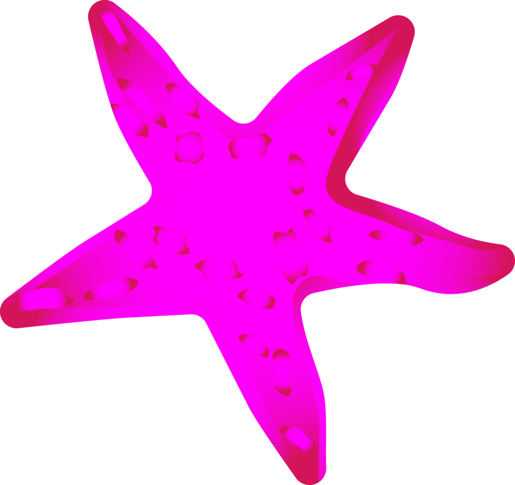 estrela do mar oceano submarino para decoração png