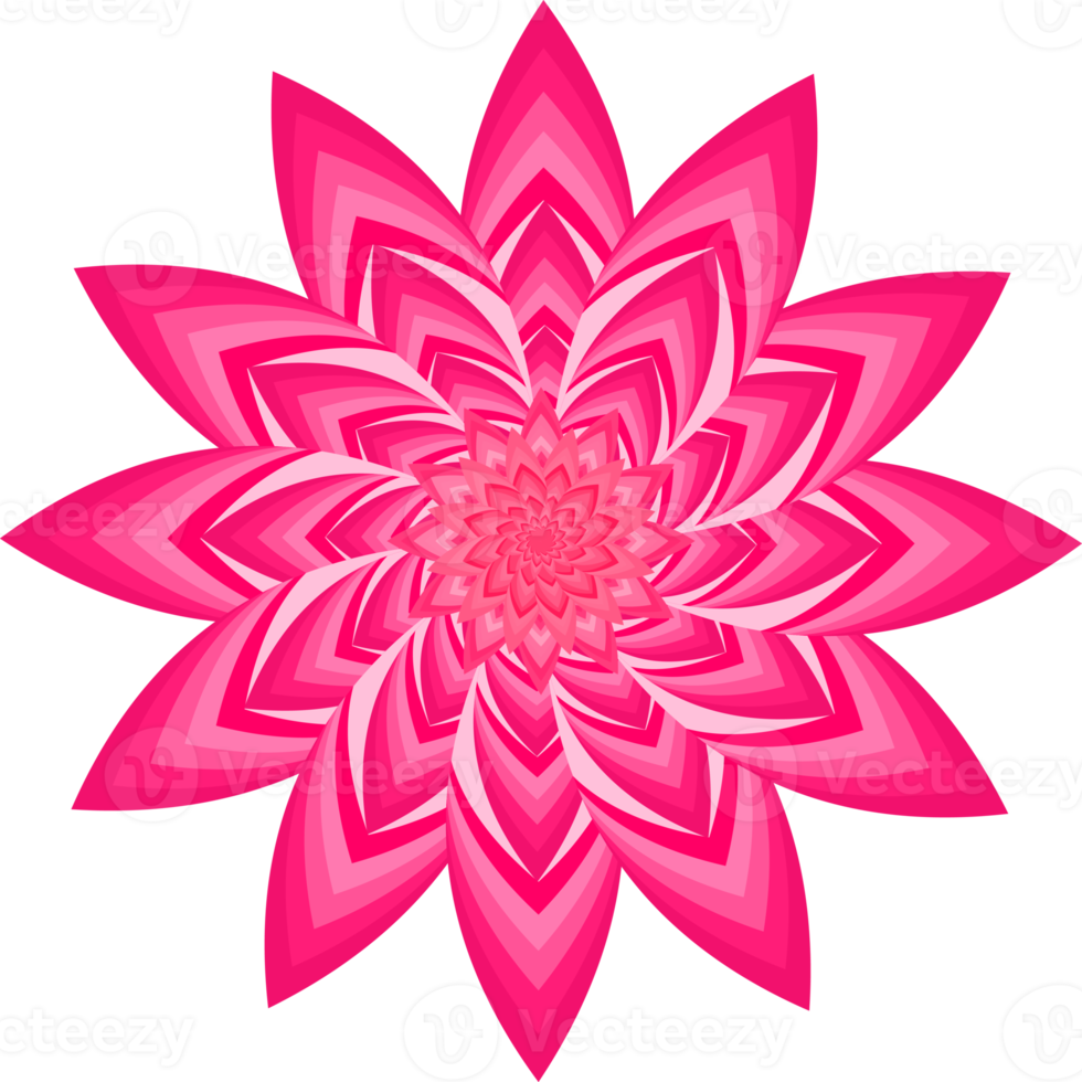 fiore fiore petalo botanico foglia pianta ornamento decorativo astratto sfondo arte disegno grafico modello illustrazione png