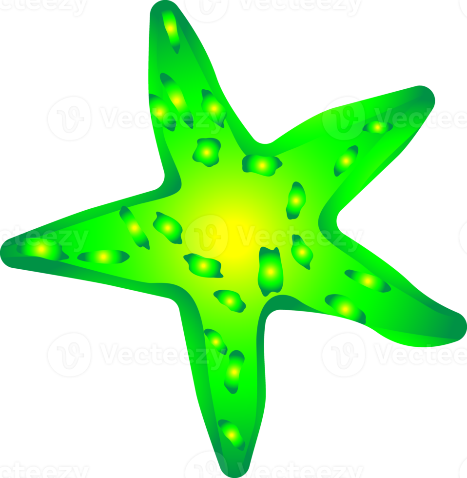 estrella de mar submarino océano mar para decorativo png