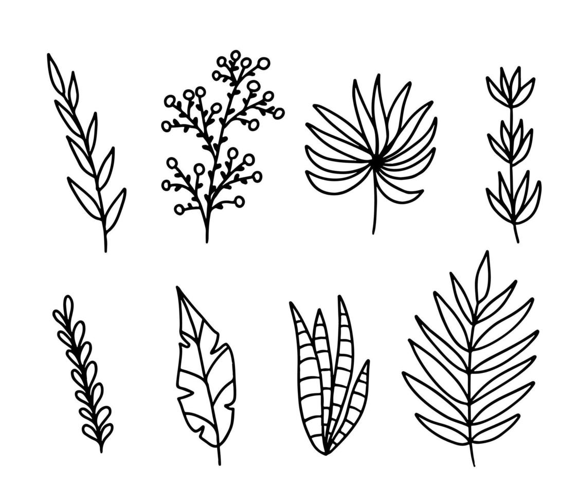 hierbas y plantas en estilo garabato dibujado a mano. colección de flores silvestres y hierbas, objetos vectoriales aislados en un fondo blanco. vector
