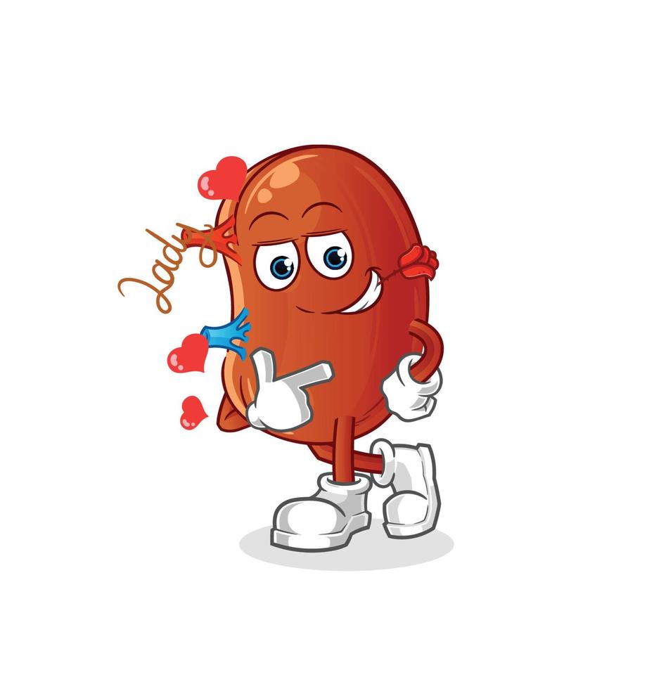 kidney cute vector