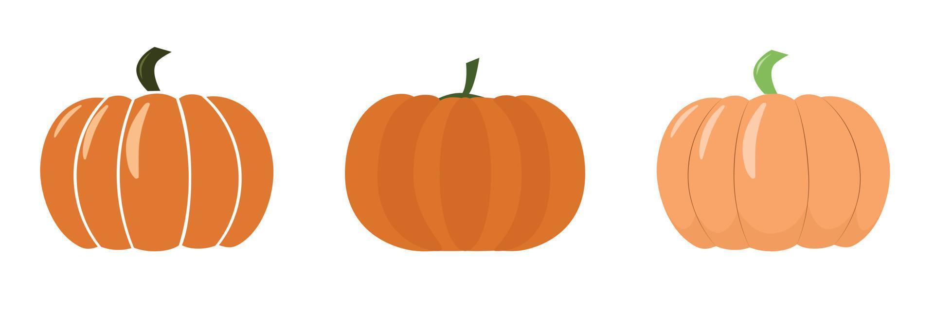 conjunto de calabazas de diferentes tonos. fiesta de la cosecha. cosecha de otoño. verduras. producto respetuoso con el medio ambiente. objetos aislados sobre un fondo blanco. ilustración vectorial Víspera de Todos los Santos vector