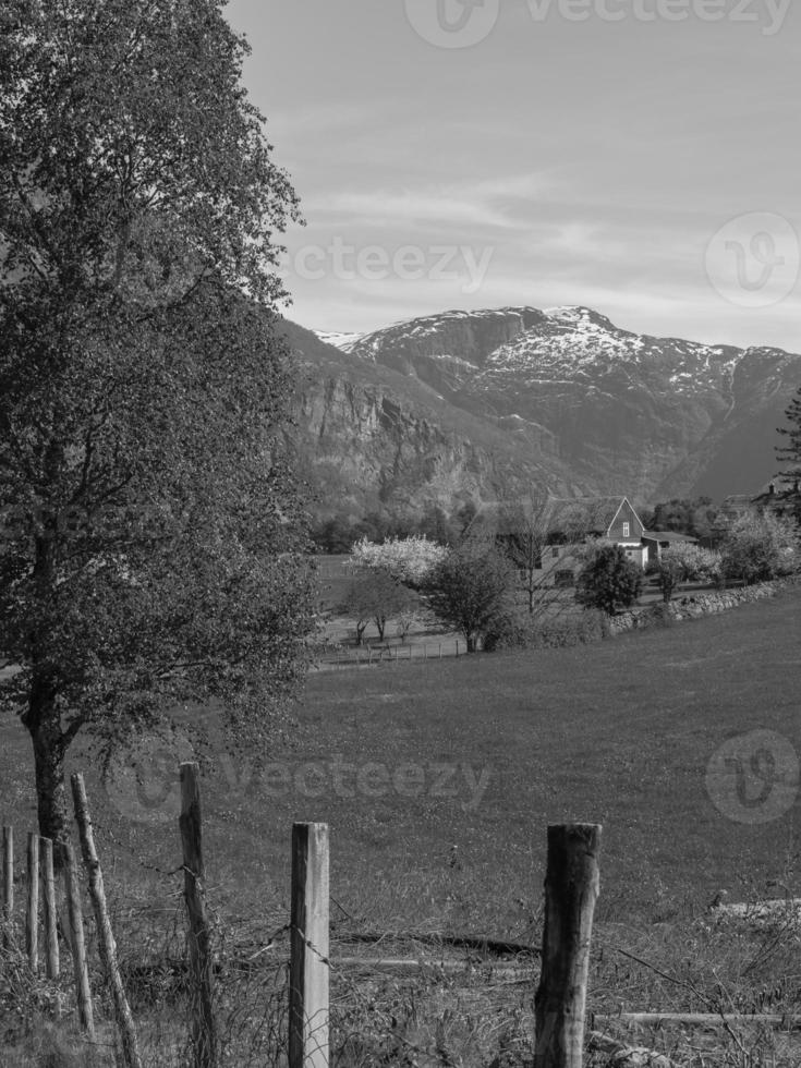 Spring time in Eidfjord norway photo