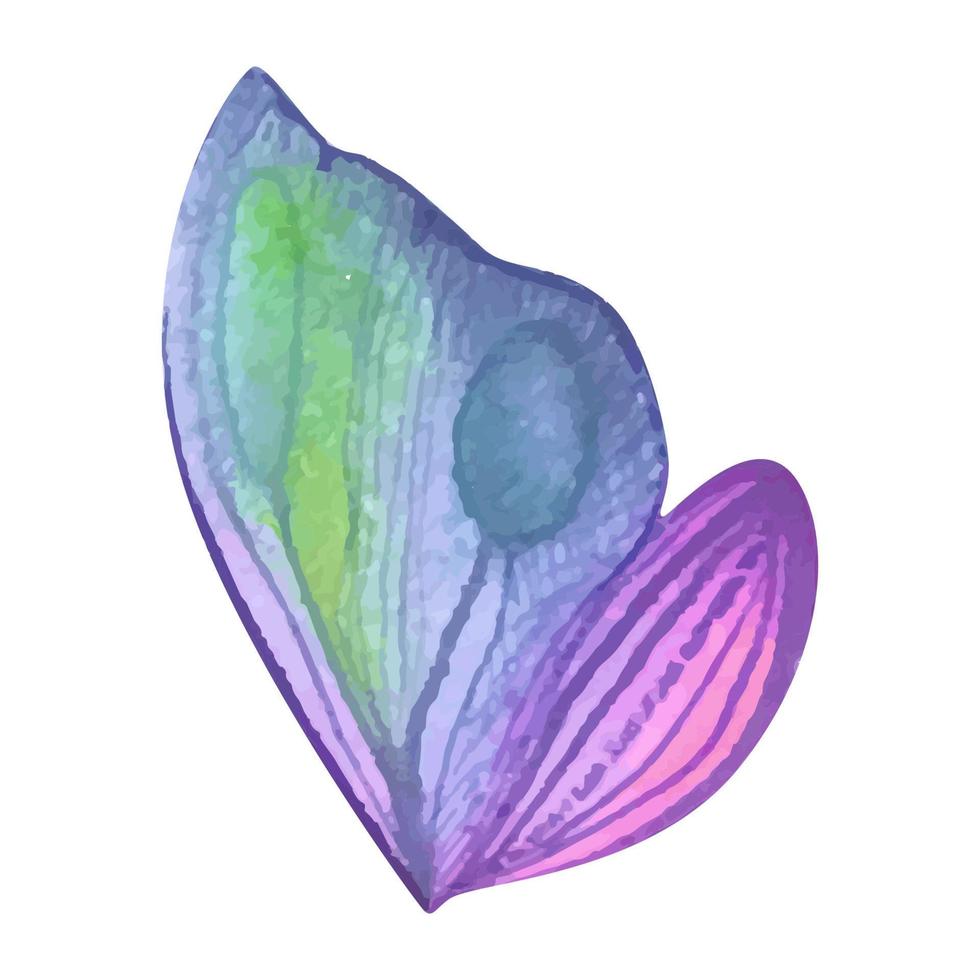 Retro watercolor butterfly wing, great design for any purposes. vector