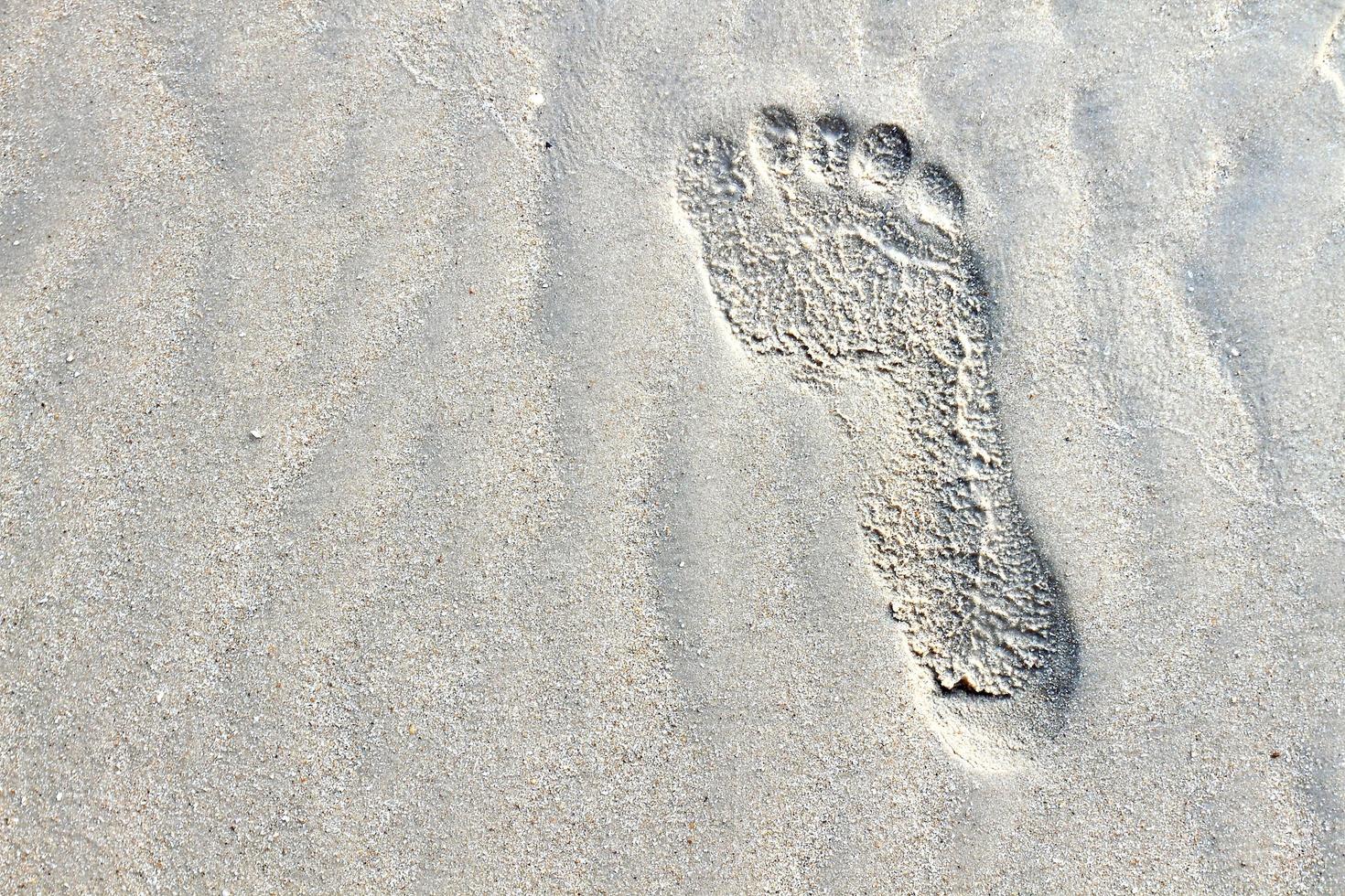 Footprints in the sand photo