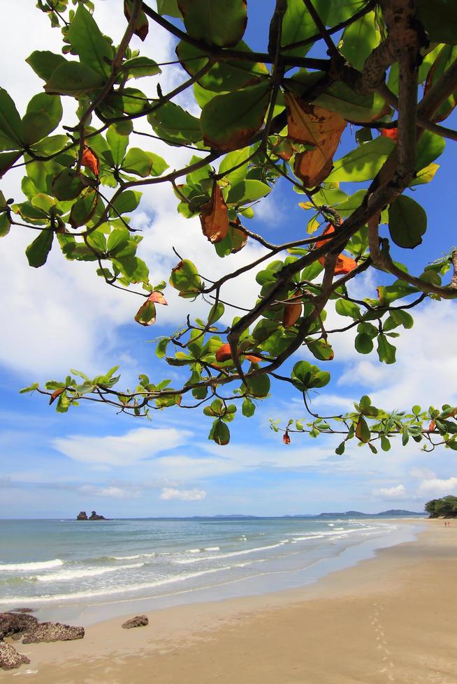 beach and beautiful tropical sea photo