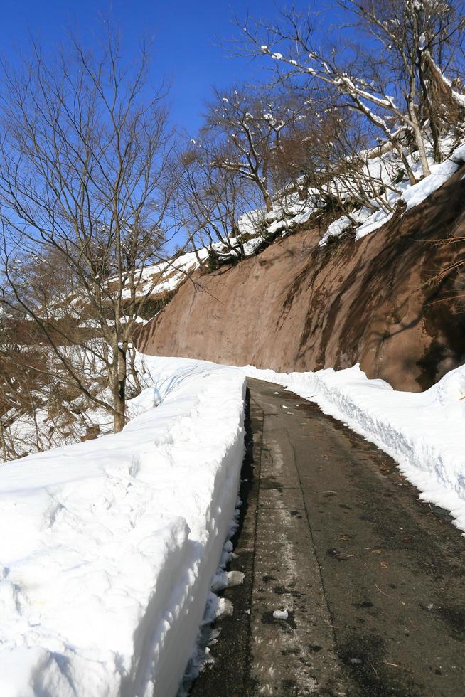 road leads people to Shiroyama Viewpoint photo